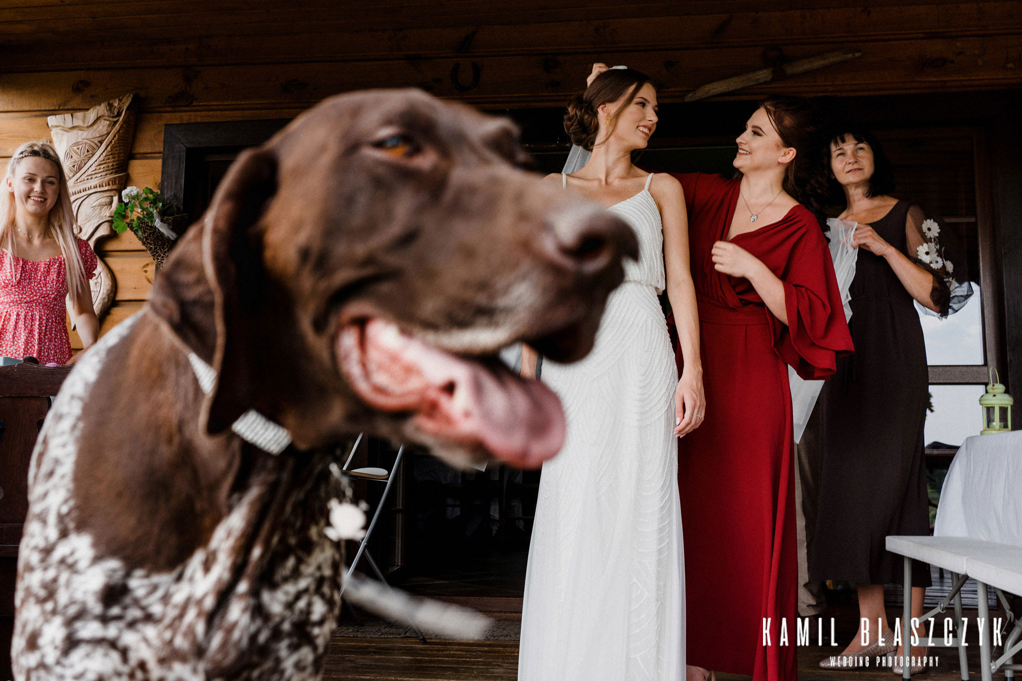 Reporterskie zdjęcia ślubne - pies na weselu Basi i Daniela 